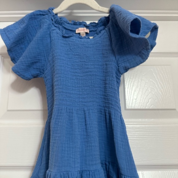 Ivy City Co Other - Ivy City Co Blue mini Jovie Dress